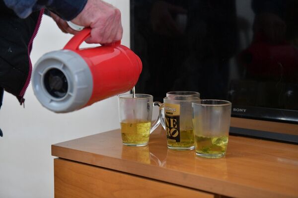 Выращивание папайи в теплице Валерием Нармания в г.Сухум - Sputnik Абхазия