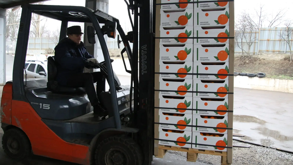 Абхазские мандарины привезли на Донбасс - Sputnik Абхазия