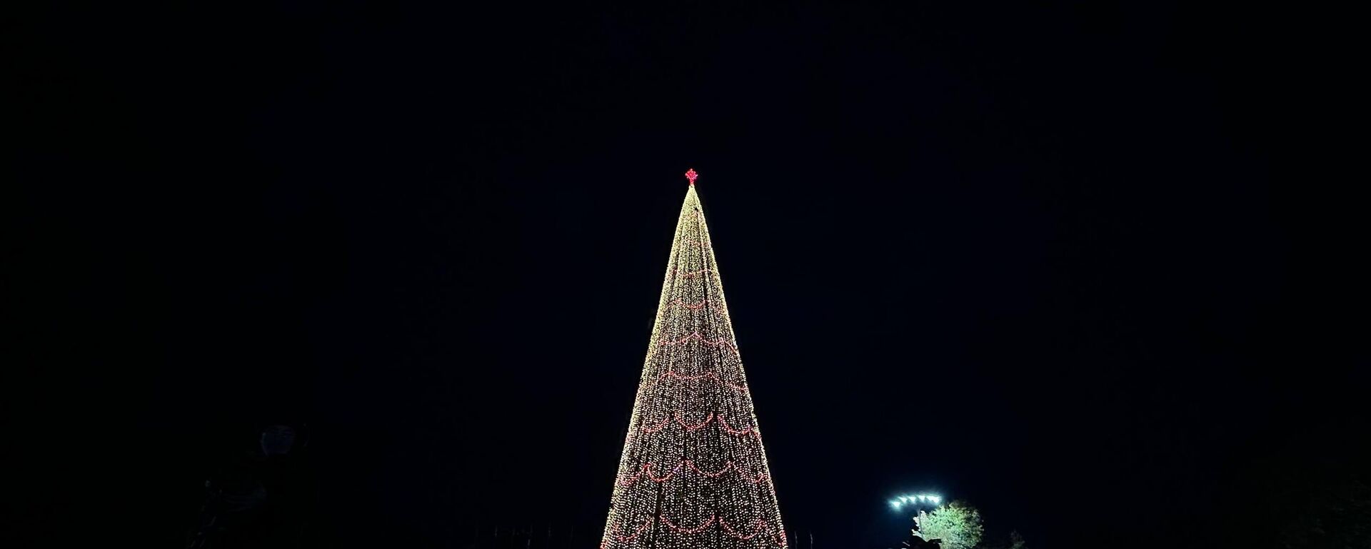 Главную елку страны торжественно зажгли на площади Свободы в Сухуме.   - Sputnik Абхазия, 1920, 23.12.2025