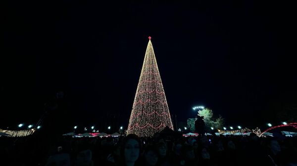 Главную елку страны торжественно зажгли на площади Свободы в Сухуме.   - Sputnik Аҧсны
