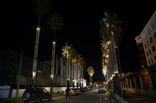 Подсвеченные длинные стволы пальм смотрятся необычно и в тоже время празднично. - Sputnik Абхазия