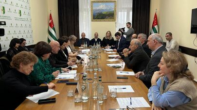 Миграционную политику Абхазии обсудили в Общественной палате