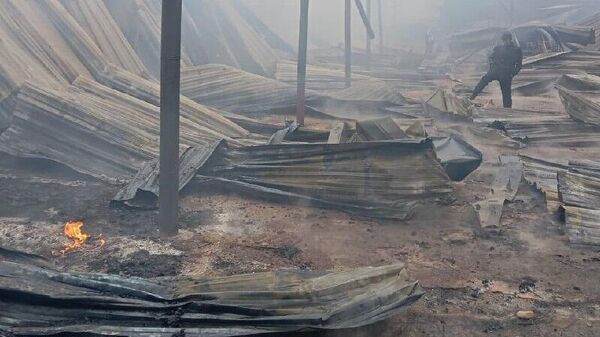 Ангар с цитрусами сгорел в Гале - Sputnik Абхазия