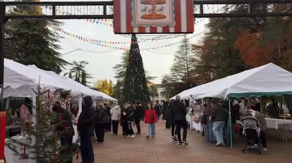 Новогодняя ярмарка прошла в парке Гуда и Ута в Гудауте в субботу, 27 декабря - Sputnik Абхазия