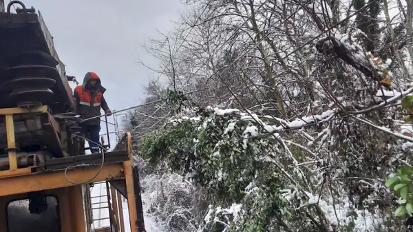 Утренний и дневной рейсы Диоскурии отменили из-за снегопада - Sputnik Абхазия