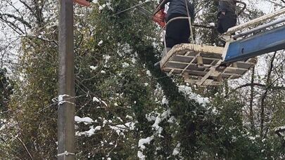 Сильный снегопад привел к многочисленным отключениям в Галском районе