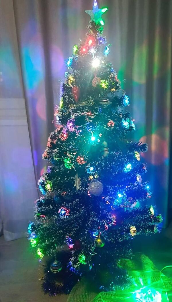 Елка Народной артистки Абхазии Алисы Гицба такая же ослепительная, как и сама оперная дива. - Sputnik Абхазия