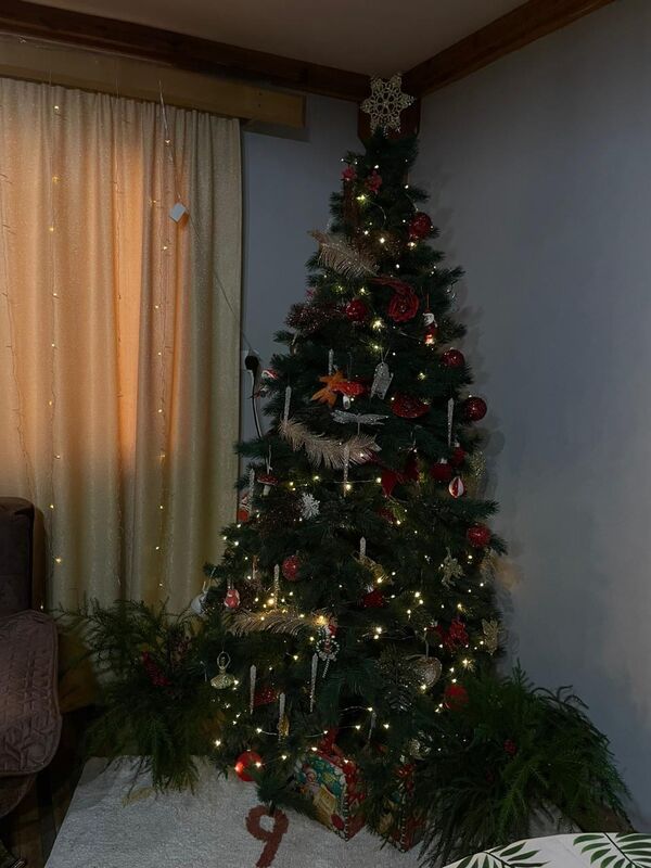 Новогодняя елка в доме чемпиона России по боксу Батала Чежия украшена в золотисто-красных тонах. - Sputnik Абхазия