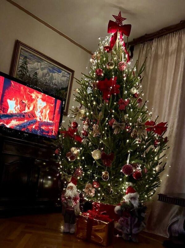 Новогодняя елка с красной звездой на макушке гармонично вписалась в интерьер дома министра культуры Даура Кове.  - Sputnik Абхазия