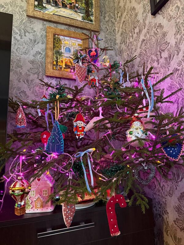 Художница Екатерина Гуськова сама сделала игрушки на елку из глины и ткани. - Sputnik Абхазия