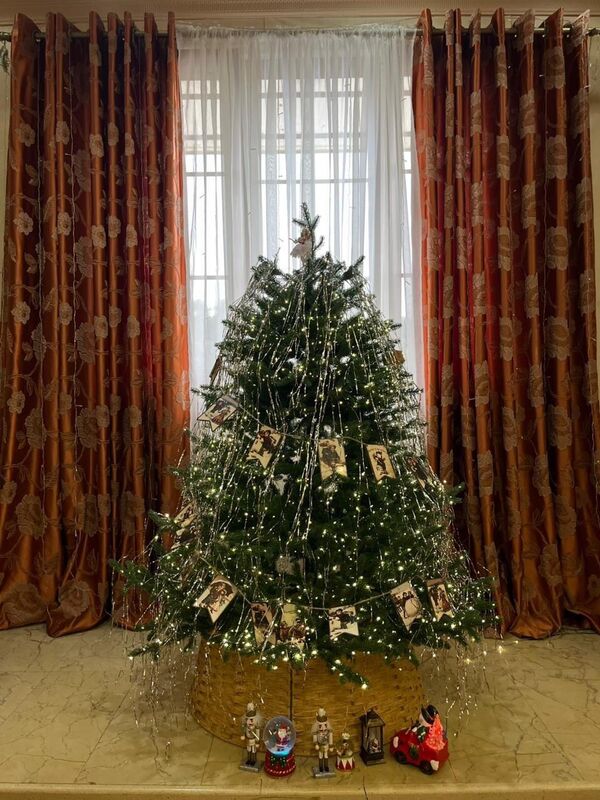 Елка вице-премьера Абхазии Тараща Хагба небольшая, но нарядная, украшена в советских мотивах. - Sputnik Абхазия