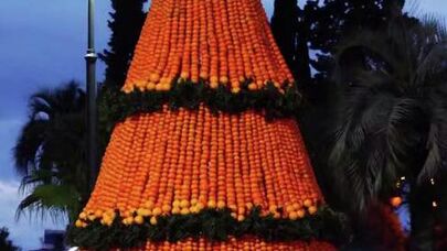 Мандариновая елка