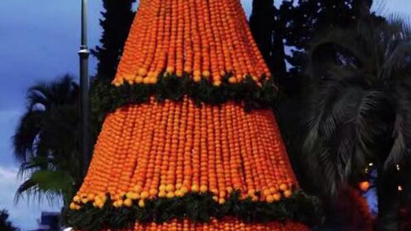 Мандариновая елка - Sputnik Абхазия