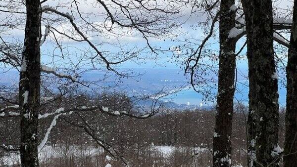 Асду 115 шықәса ахыҵит - Sputnik Аҧсны