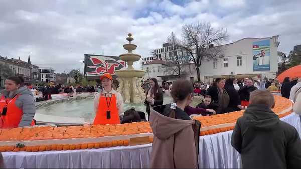 Мандариновый торт длиной 54 метра представили в Сухуме - Sputnik Аҧсны