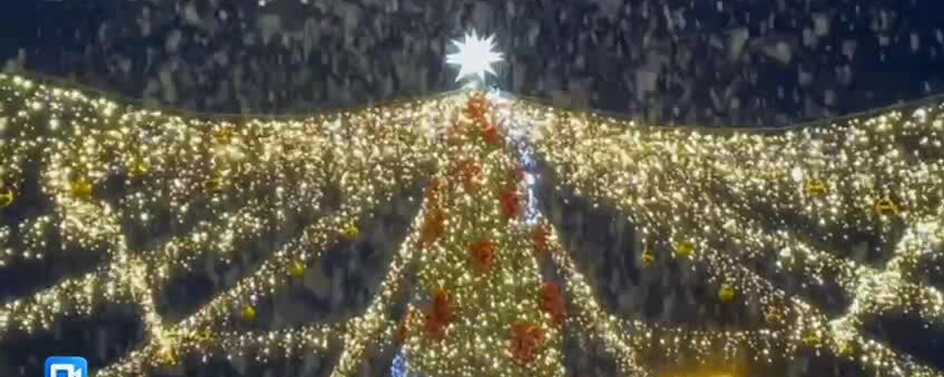 Праздничный вечер прошел у главной елки в Очамчыре - Sputnik Абхазия, 1920, 11.01.2026