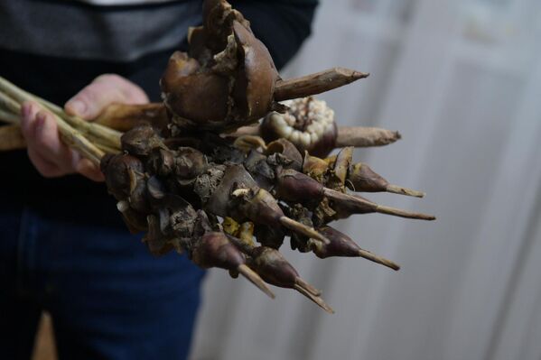 Мясо нанизывают на ореховые палочки. - Sputnik Абхазия