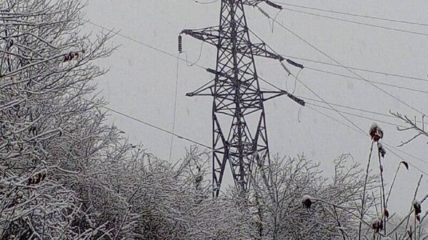 Гагра араион лашарада иаанхеит Баӷрыԥсҭа авольтҳаракы 110 аҟны иҟалаз аиԥҟьара иахҟьаны - Sputnik Аҧсны