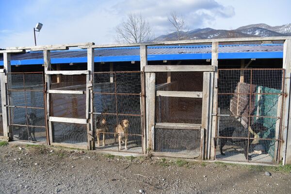 Объект расположен на территории, которая не принадлежала мужчине - Sputnik Абхазия