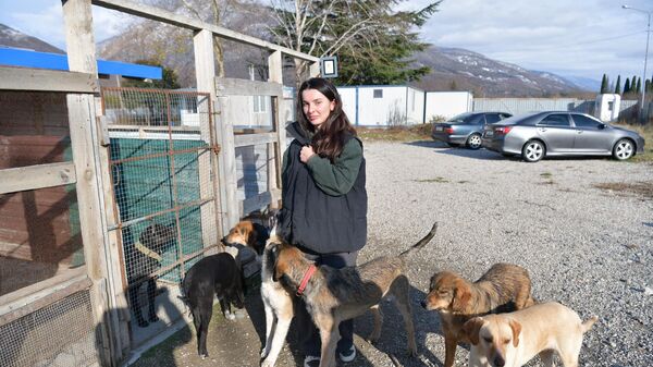 Волонтер Астанда Шуген и временный приют для бездомных собак в пос.Бзыпта - Sputnik Абхазия