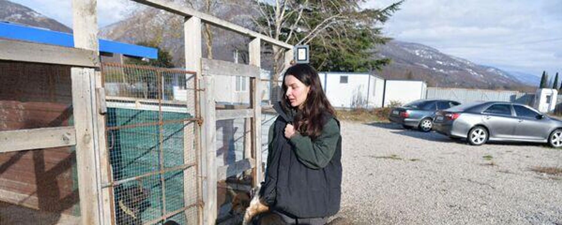 Как выживают питомцы частного приюта в поселке Бзыбь - Sputnik Абхазия, 1920, 22.01.2026