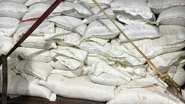 Тоннак инеиҳаны аԥстәқәа рхәы рымырхит АҬ Ԥсоу аҿы - Sputnik Аҧсны