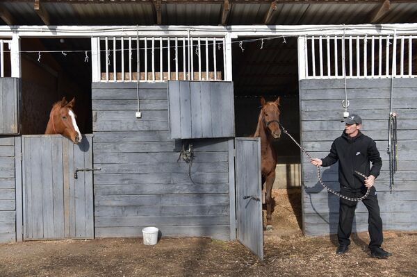 Конный клуб Бзоу в Ачадаре - Sputnik Абхазия