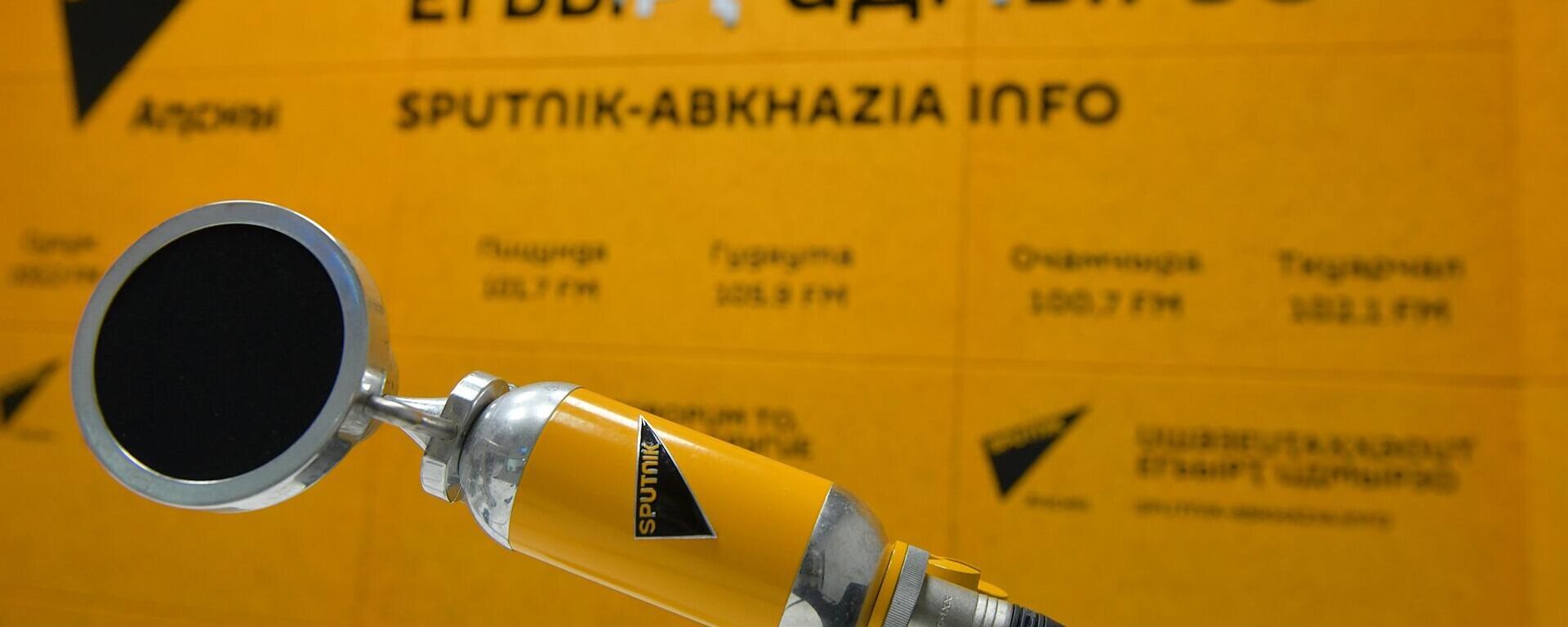 Лесное хозяйство Абхазии: состояние, обновление, вырубка Лесное хозяйство Абхазии: состояние, обновление, вырубка - Sputnik Абхазия, 1920, 28.01.2026