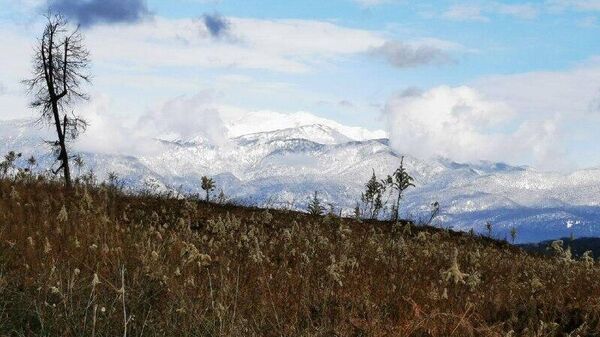 Почвы Абхазии впервые изучила РосАгрохимслужба - Sputnik Абхазия