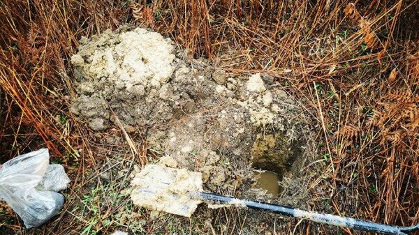 Урыстәылатәи Агрохимиатә маҵзура раԥхьаӡа акәны Аԥсны адгьылқәа ҭнаҵааит - Sputnik Аҧсны