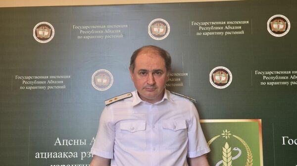 Что грозит растениям Абхазии и  как их защищают? - Sputnik Абхазия