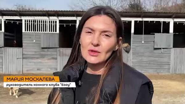 Условия для иппотерапии создадут в селе Ачадара Сухумского района - Sputnik Абхазия