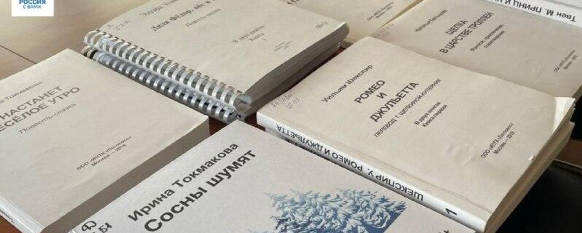 Книги для слабовидящих читателей передало в дар Национальной библиотеке им - Sputnik Абхазия, 1920, 06.02.2026