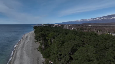 Пицундская сосновая роща