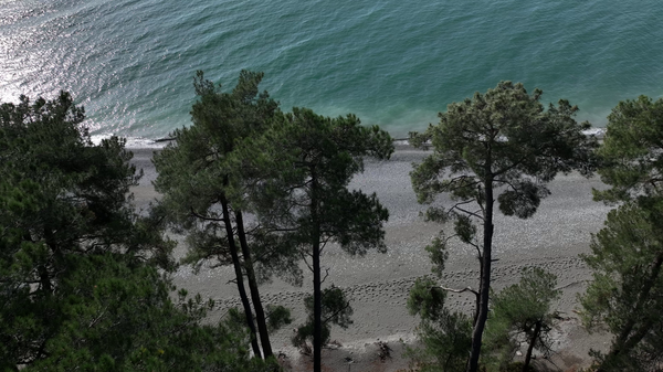 Пицундская сосновая роща - Sputnik Абхазия