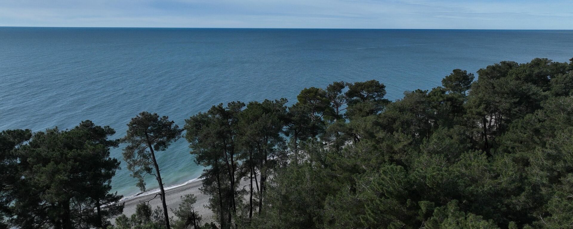 Пицундская сосновая роща - Sputnik Аҧсны, 1920, 09.02.2026