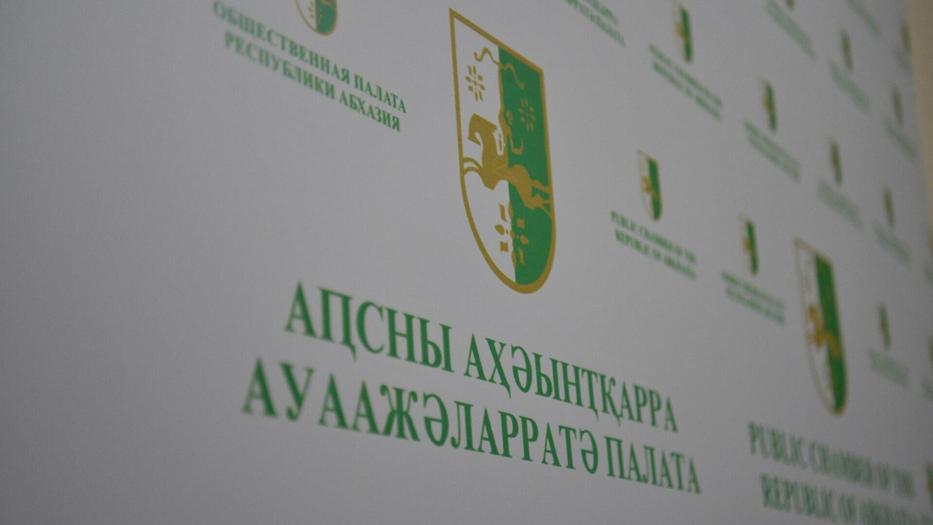 Общественная палата Республики Абхазия Общественная палата Республики Абхазия - Sputnik Аҧсны, 1920, 13.05.2026