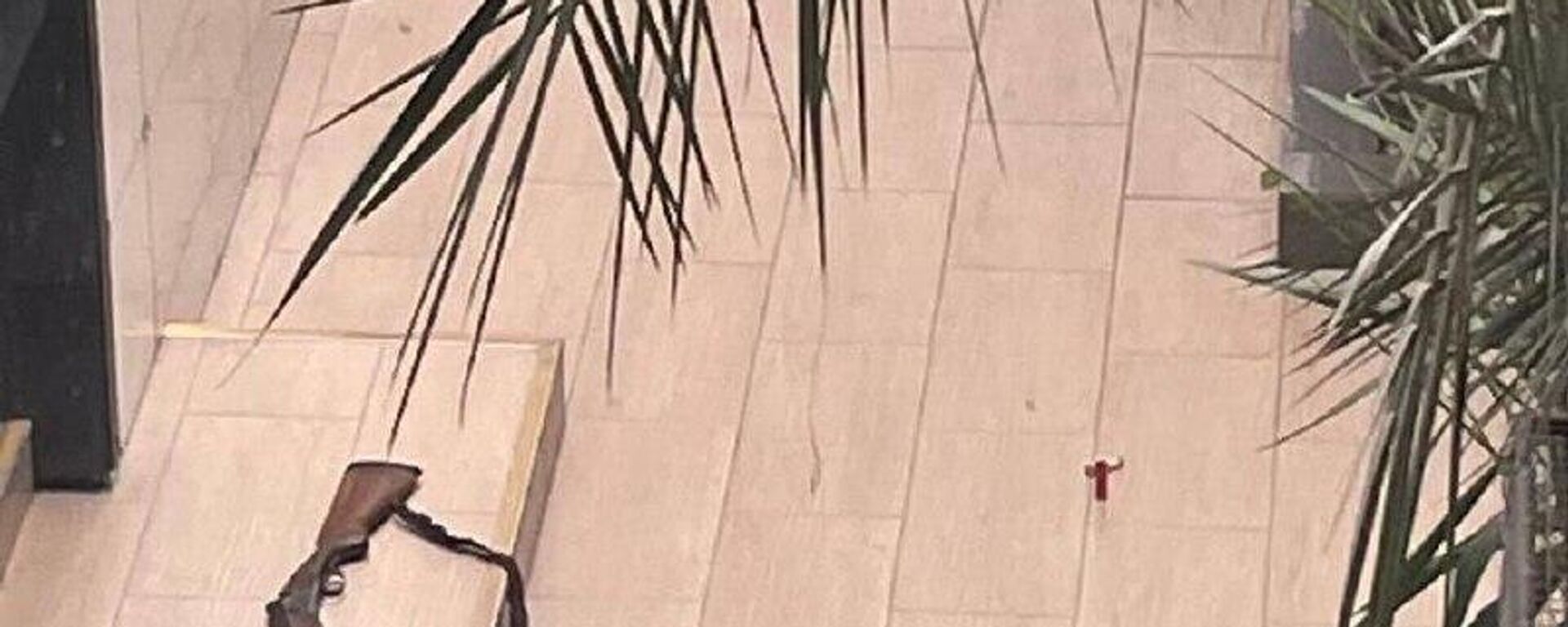 Студент открыл стрельбу в техникуме в Анапе - Sputnik Абхазия, 1920, 11.02.2026