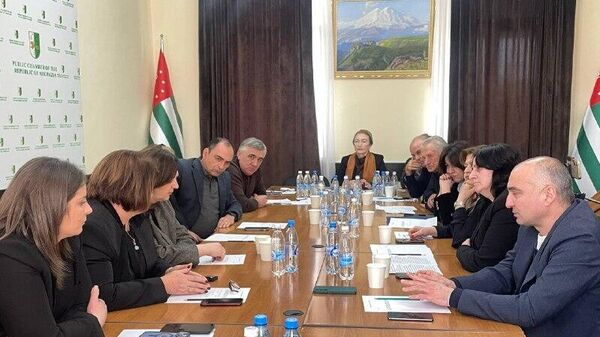 Расширенное заседание комиссии по развитию госязыка, образования, науки, культуры и духовного наследия, состоялось в Общественной палате - Sputnik Абхазия