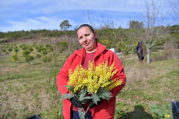 Аԥсны ауааԥсыреи, асасцәеи аҭагылазаашьа рымоуп ари ашәҭ ԥшӡа абара. - Sputnik Аҧсны