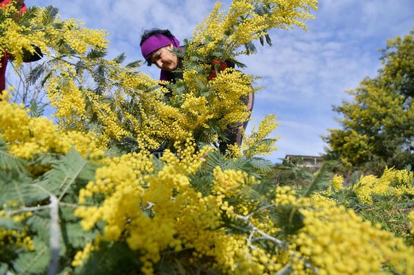 Урҭ ҩымш рышьҭахь урыстәылатәи ақалақьқәа рахь еихшаны ирышьҭуеит. - Sputnik Аҧсны