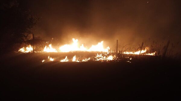 Сухостой загорелся в селе Ачгуара - Sputnik Абхазия