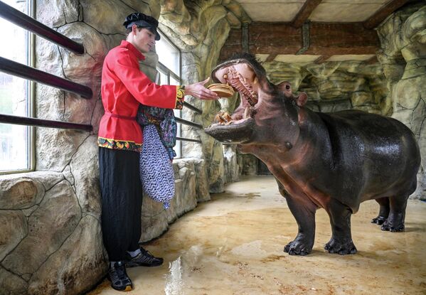 Даже обитатели зоопарка не остались в стороне - Sputnik Абхазия