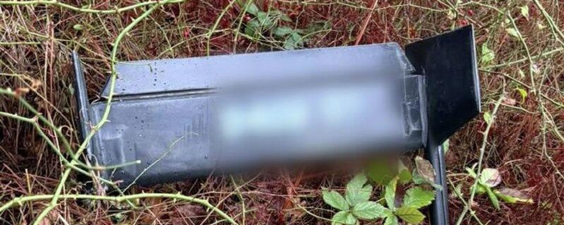 В Гагрском районе упал беспилотник - Sputnik Абхазия, 1920, 23.02.2026