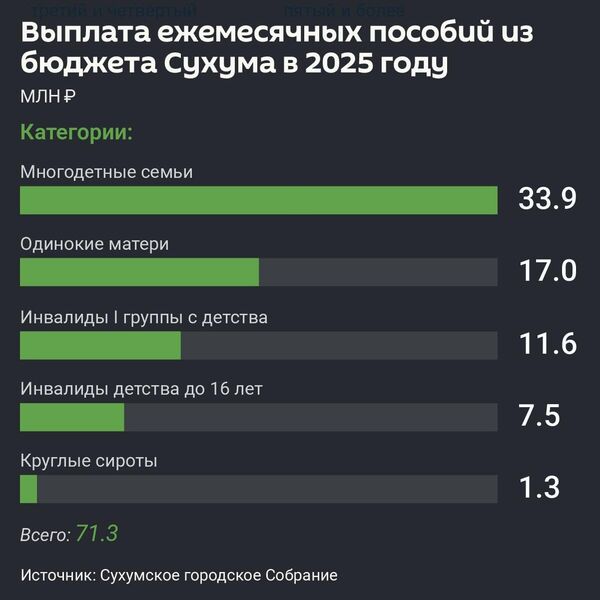 Выплата ежемесячных пособий из бюджета Сухума в 2025 году - Sputnik Абхазия