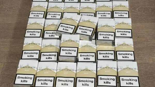 Аԥҳәыс маӡала Аԥсныҟа аҭаҭын аагара лҽазылшәеит - Sputnik Аҧсны