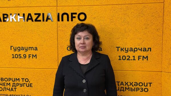 Наладить и развивать: сотрудничество Общественной палаты Абхазии с регионами России - Sputnik Абхазия