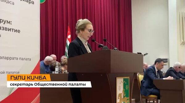 Разработать и утвердить Национальную программу демографического развития до 2036 года предложили участники Гражданского форума, организованного Общественной палатой Абхазии - Sputnik Абхазия