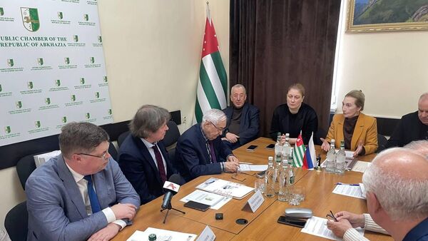 Встреча с членами ОП России прошла в Общественной палате Абхазии - Sputnik Абхазия