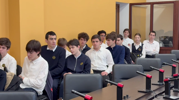 Программа подготовки волонтеров-поисковиков прошла в Нацбиблиотеке Абхазии
 - Sputnik Абхазия